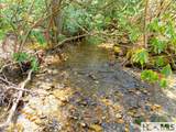 140 Hangin Dog Lane - Photo 8