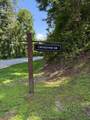 239 Cross Vine Drive - Photo 8
