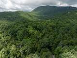 Lot 10 Deep Ford Falls - Photo 1