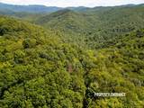 0000 Robinson Creek Road - Photo 19