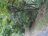 Lot 15 Mountain Air Road - Photo 1