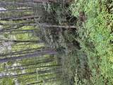 Lot 15 Mountain Air Road - Photo 5