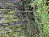 Lot 15 Mountain Air Road - Photo 8