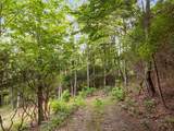 325 Round Top Mountain Road - Photo 13