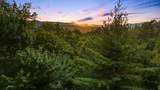 325 Round Top Mountain Road - Photo 19