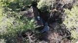 180 Haven Ridge Road Trail - Photo 61