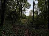 92 Tiercel Trail - Photo 5