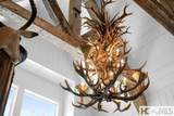 2808 Big Sheepcliff Road - Photo 6