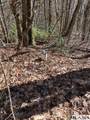 Lot 1 Bear Log Road - Photo 12