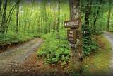 351 Outpost Trail - Photo 47