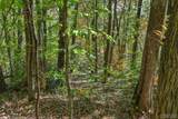 Lot 89 Black Oak Drive - Photo 7