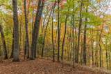 Lot 54 Cullowhee Forest Road - Photo 10
