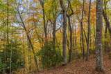 Lot 54 Cullowhee Forest Road - Photo 11