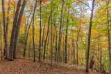 Lot 54 Cullowhee Forest Road - Photo 14