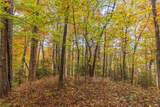 Lot 54 Cullowhee Forest Road - Photo 15