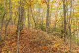 Lot 54 Cullowhee Forest Road - Photo 18