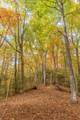 Lot 54 Cullowhee Forest Road - Photo 20