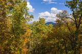 Lot 54 Cullowhee Forest Road - Photo 25