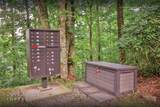 Lot 54 Cullowhee Forest Road - Photo 33