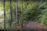 Lot 54 Cullowhee Forest Road - Photo 34