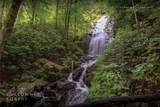 Lot 54 Cullowhee Forest Road - Photo 36