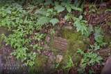 Lot 54 Cullowhee Forest Road - Photo 38