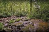 Lot 54 Cullowhee Forest Road - Photo 39