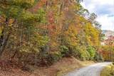Lot 54 Cullowhee Forest Road - Photo 4