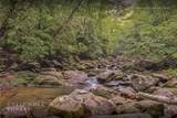 Lot 54 Cullowhee Forest Road - Photo 40