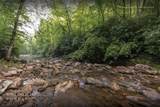 Lot 54 Cullowhee Forest Road - Photo 41