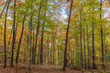 Lot 54 Cullowhee Forest Road - Photo 6