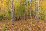 Lot 54 Cullowhee Forest Road - Photo 7