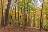Lot 54 Cullowhee Forest Road - Photo 8