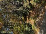 TBD Foreman Road - Photo 1