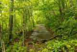 Lot 5 Woods Mountain Trail - Photo 12