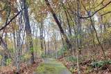 Lot 5 Woods Mountain Trail - Photo 13