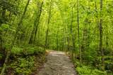 Lot 5 Woods Mountain Trail - Photo 16