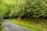 Lot 5 Woods Mountain Trail - Photo 3