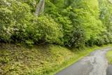 Lot 5 Woods Mountain Trail - Photo 4
