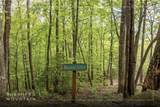 Lot 13 Shepherds Gap Road - Photo 2