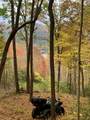Lot 13 Shepherds Gap Road - Photo 21