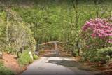 Lot 13 Shepherds Gap Road - Photo 24