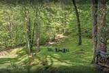 Lot 13 Shepherds Gap Road - Photo 27