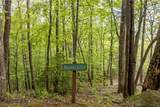 Lot 13 Shepherds Gap Road - Photo 4