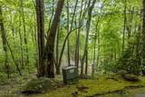 Lot 13 Shepherds Gap Road - Photo 6