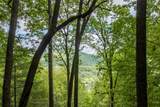 Lot 13 Shepherds Gap Road - Photo 7