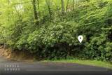 Lot 6 Woods Mountain Trail - Photo 2