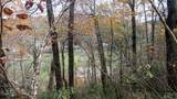 Lot 10 Sassafras Court - Photo 10