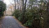 Lot 10 Sassafras Court - Photo 9