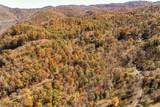 17 Pilot Knob Road - Photo 11